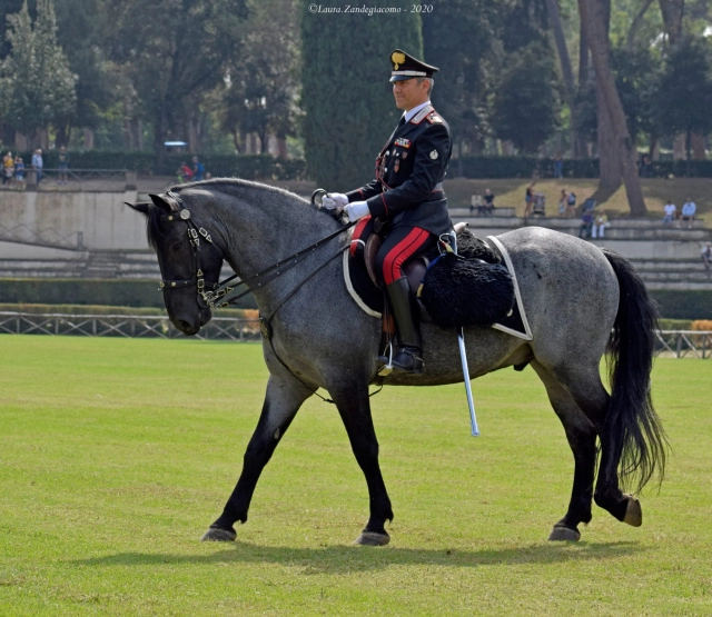 Fanfara dei Carabinieri