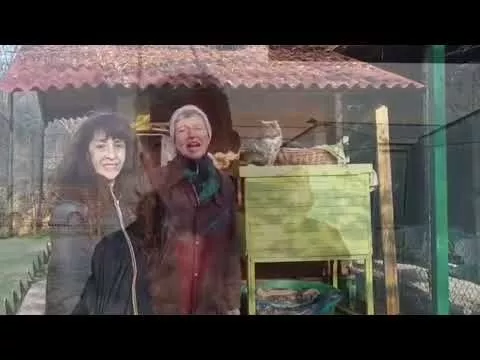 immagine di anteprima del video: Il Regalo pi&ugrave; prezioso &egrave; esserci!