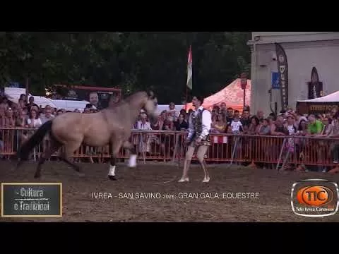 immagine di anteprima del video: Ivrea: Gran Gala Equestre di San Savino 2026