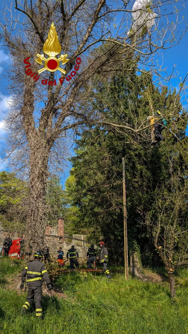 Salvataggio del Parapendista da parte dei VVF