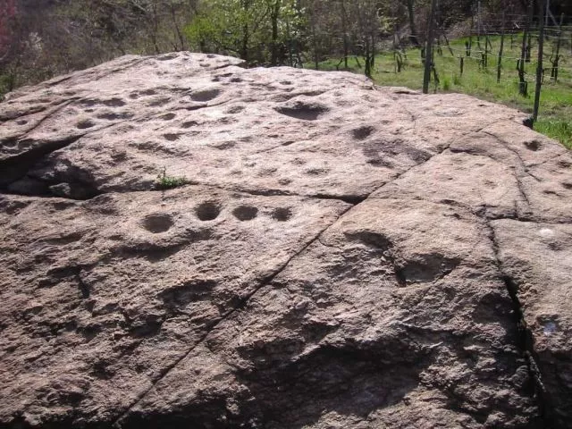 I ricercatori di Rock Carvings in Canavese