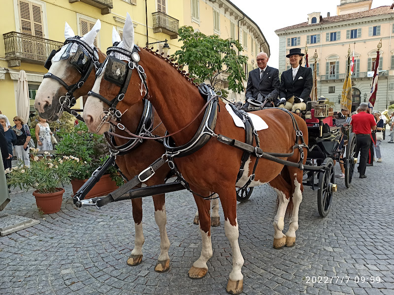 Foto archivio San Savino 2022